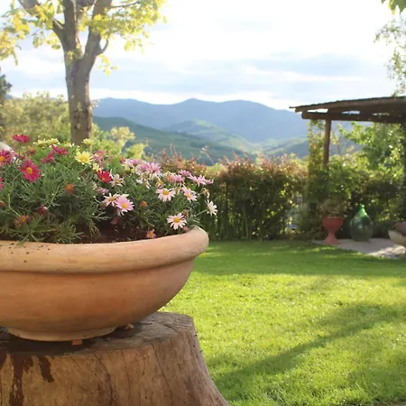 Casa Vittoria * 앙기아리